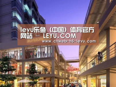 案例展示一