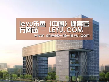 案例展示四