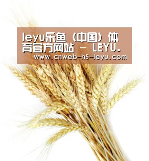 leyu乐鱼（中国）体育官方网站 - LEYU.COM