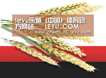 leyu乐鱼（中国）体育官方网站 - LEYU.COM