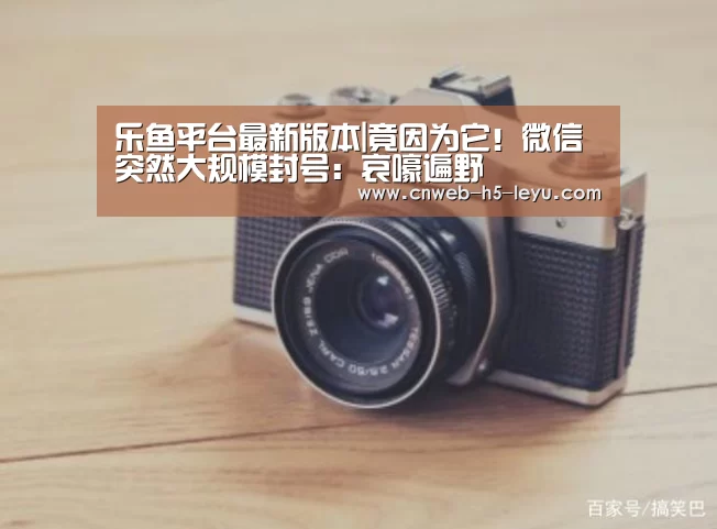 乐鱼平台最新版本