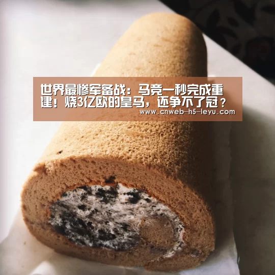 乐鱼极致竞技体验