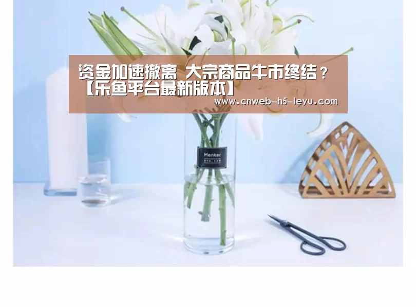 乐鱼平台最新版本