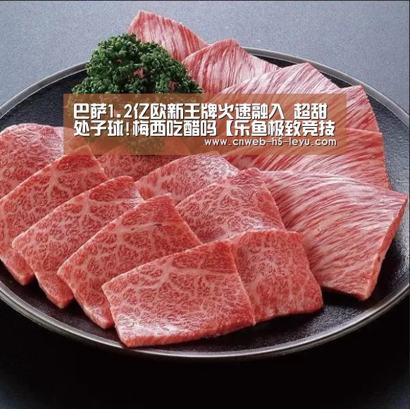 乐鱼极致竞技体验